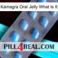 Kamagra Oral Jelly What Is It viagra3